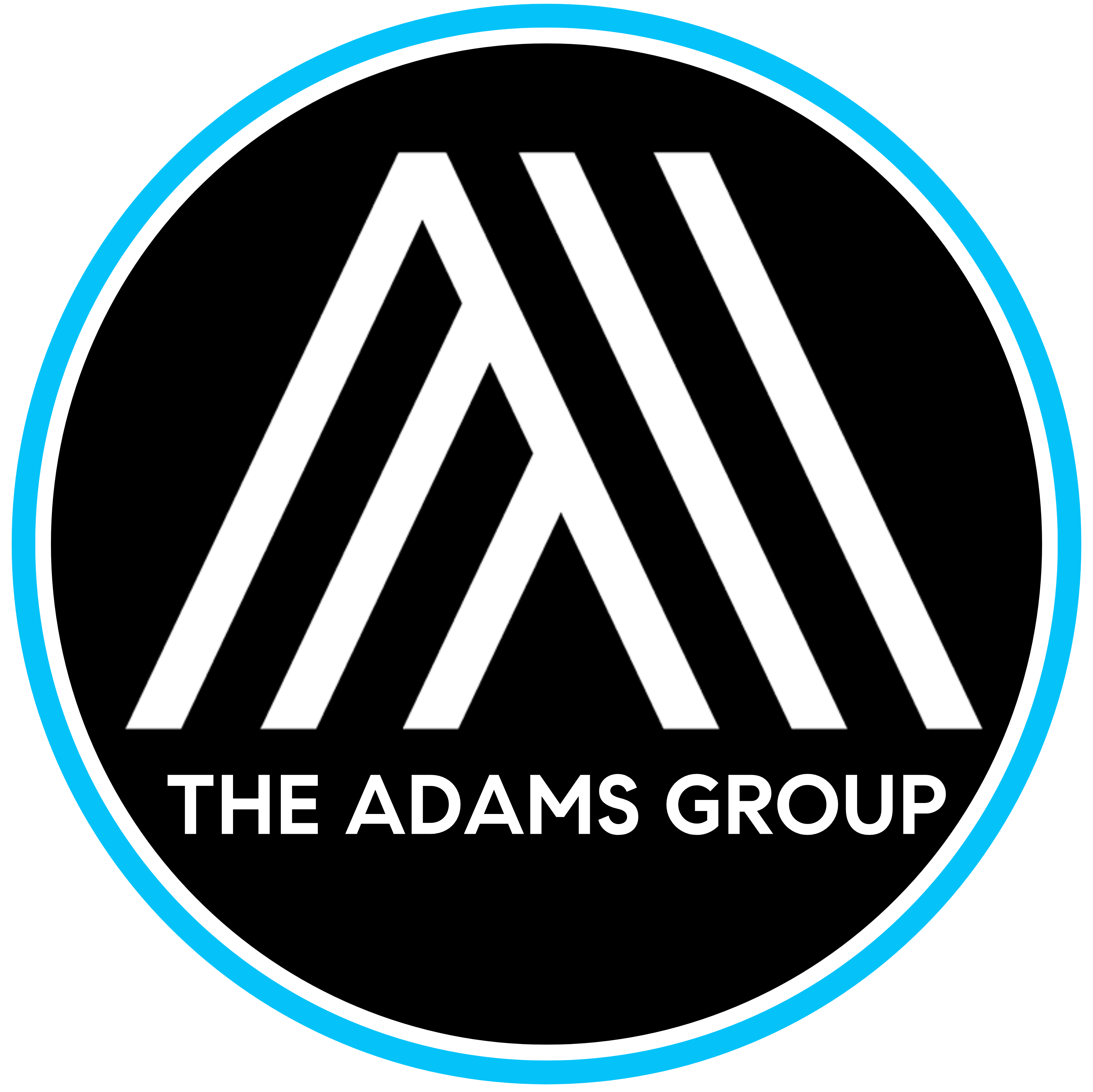 The Adams Group